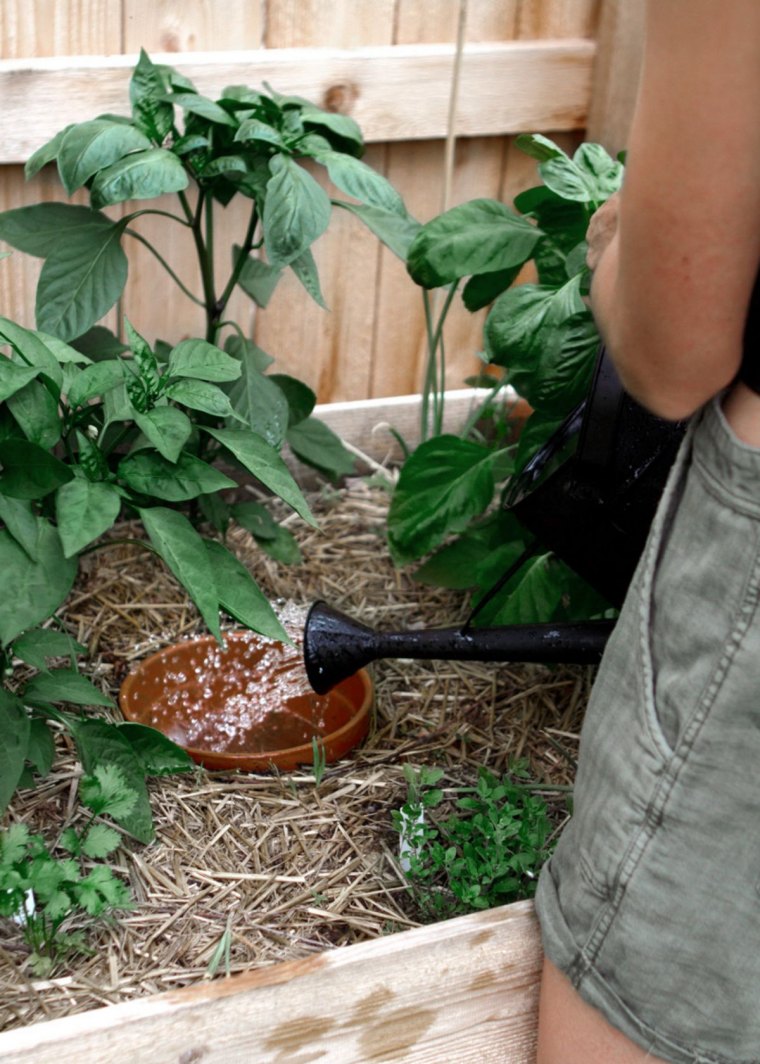 comment utiliser oya jardinage facile irrigation restriction d eau été