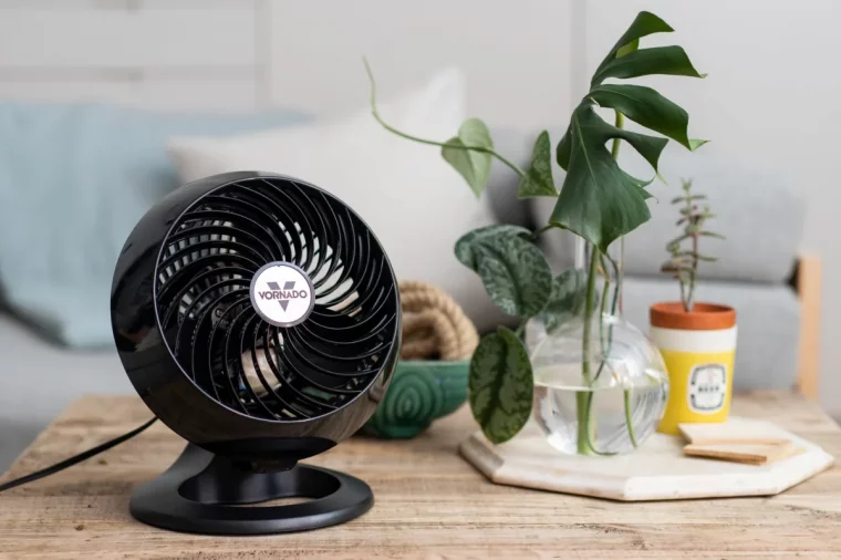 est ce que le ventilateur peut faire fuir les insectes