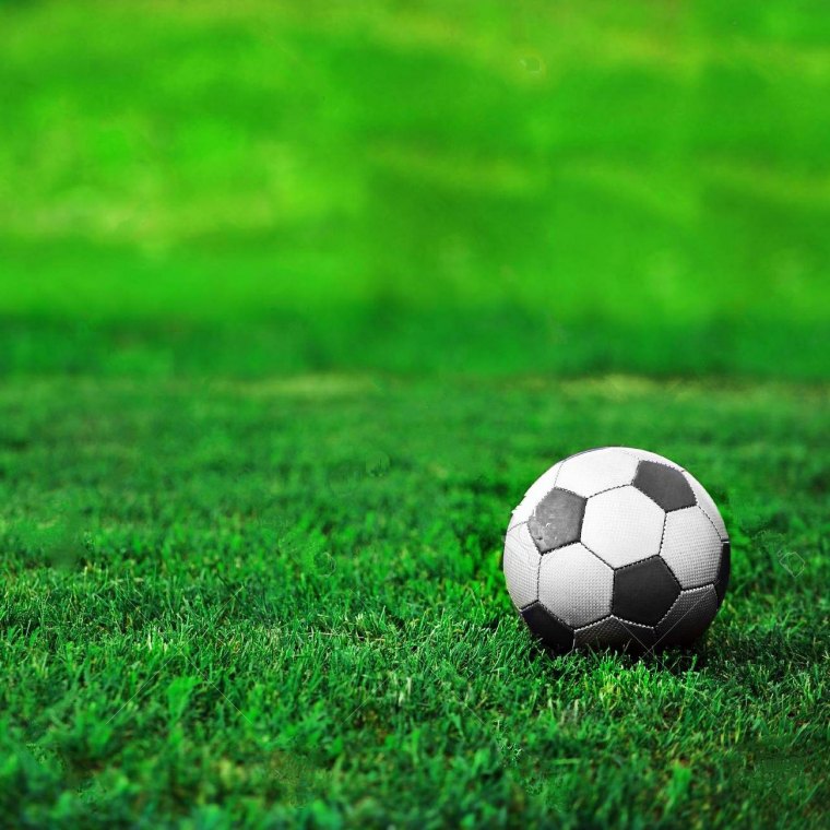 soccer ball on green lawn. summer's day