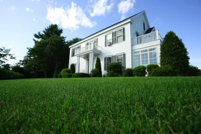 gazon résistant à la chaleur et à la sécheresse zoysia maison blanche