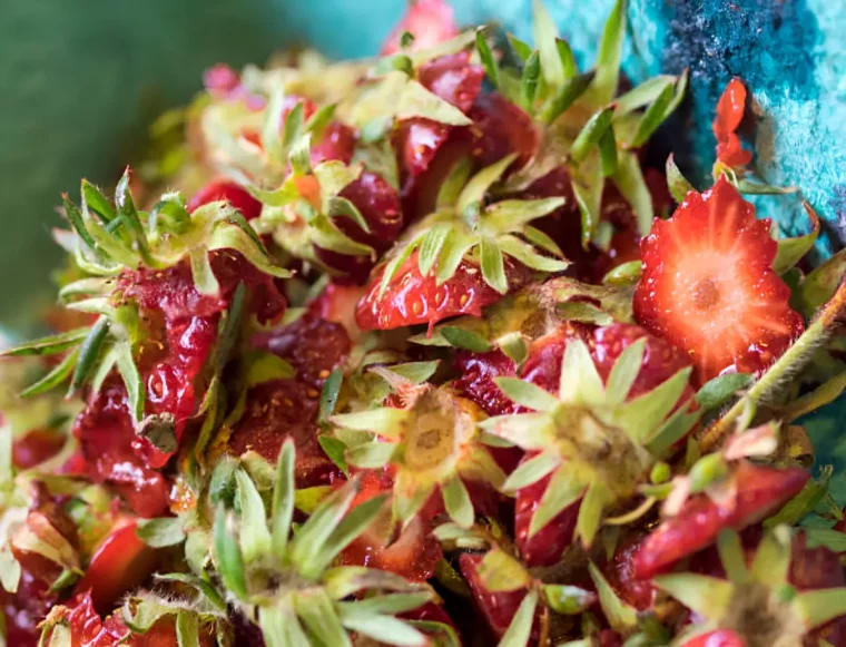 gros plan sur un tas de queues de fraises