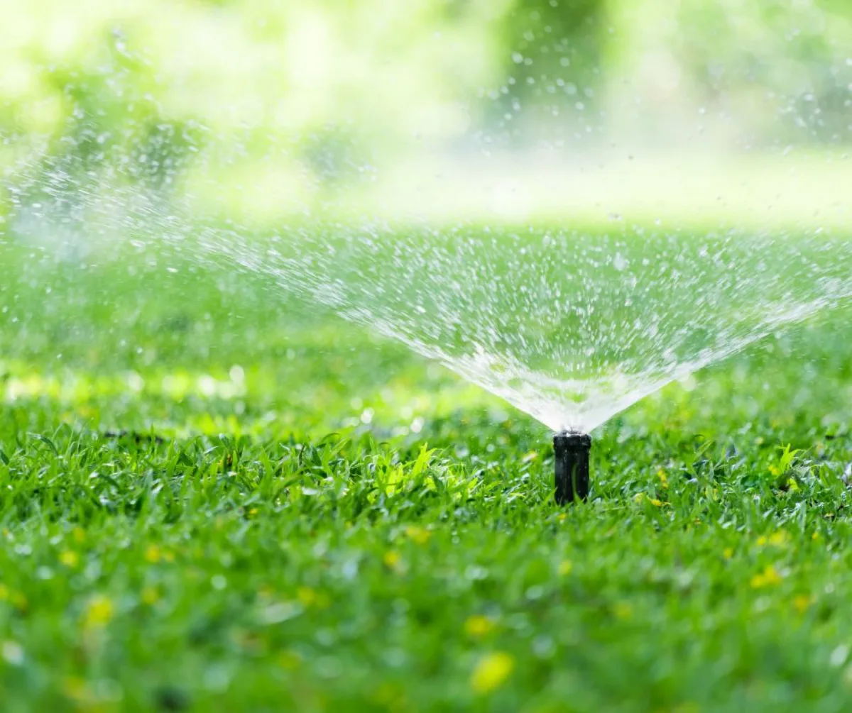 irrigation comment arroser la pelouse proprement pour éviter les dégats de sécheresse