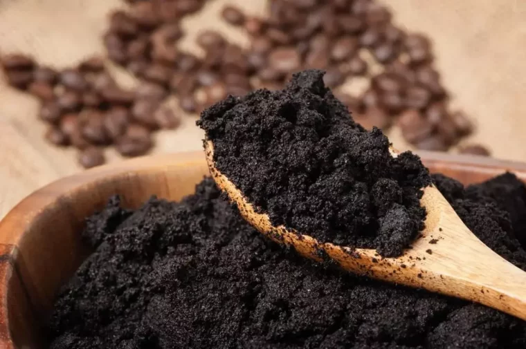 marc de cafe avec une cuillere en bois bon engrais pour plans de tomate