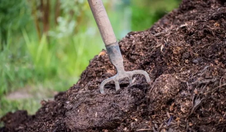 outil de jardinage enfourche dans un tas de fumier