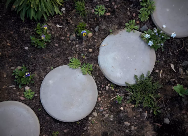 pas ronds en ciment dans une allee avec des mauvaises herbes et quelques fleurs