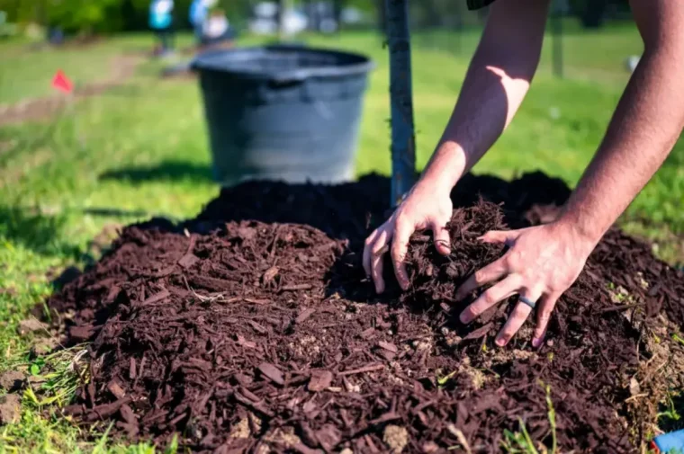 personne paillant son jardin comment eviter de trop arroser son potager