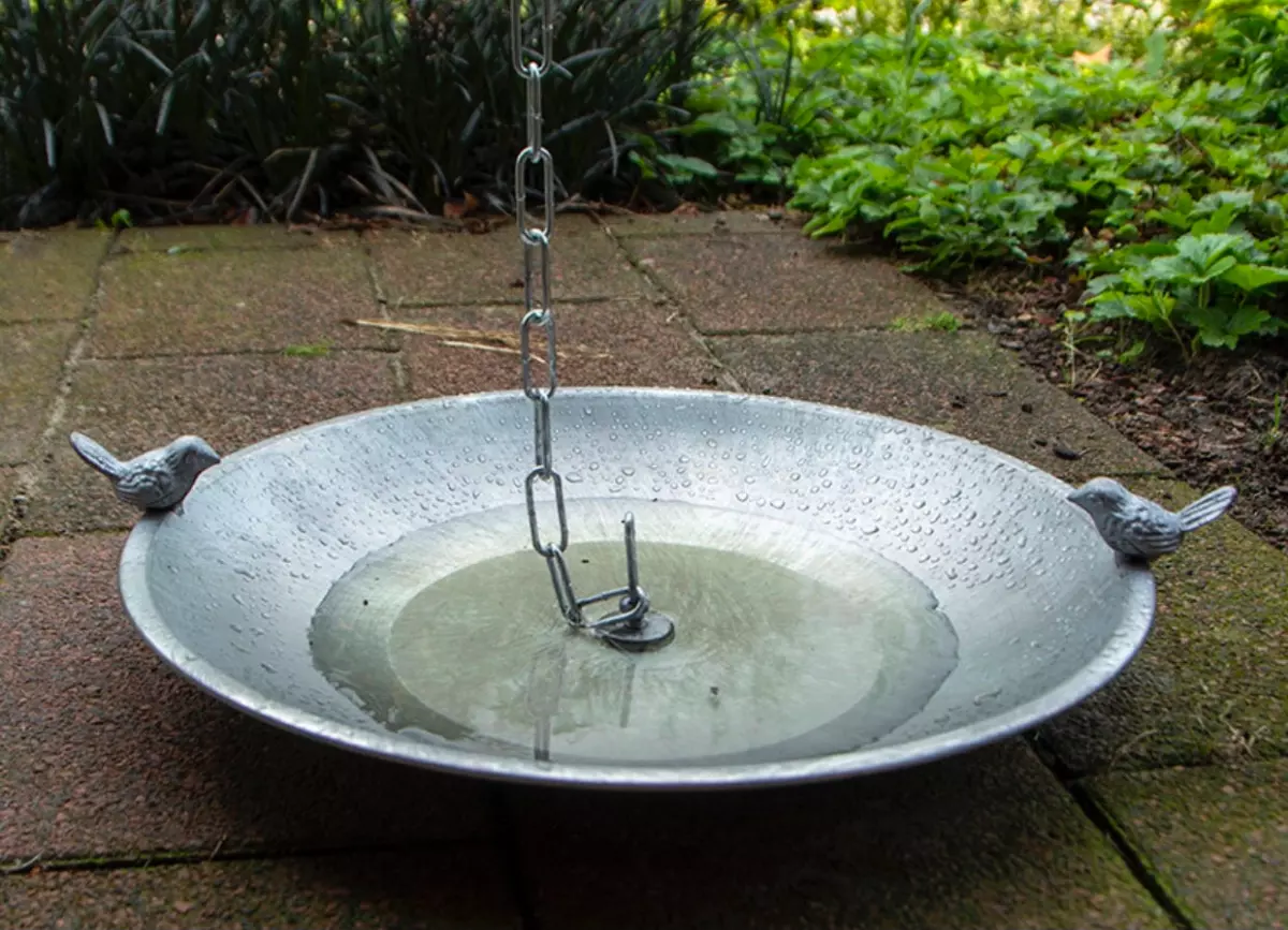 point d eau avec de l’eau propre pour les oiseaux dans le jardin