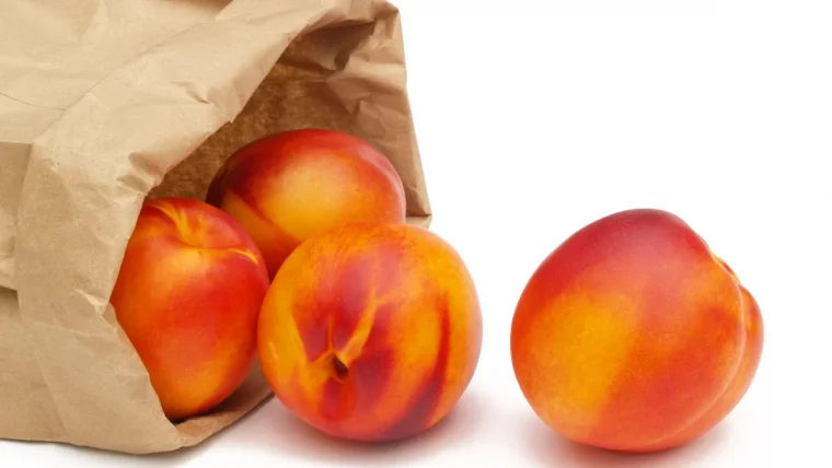 pourquoi mettre les nectarines dans un sac en papier