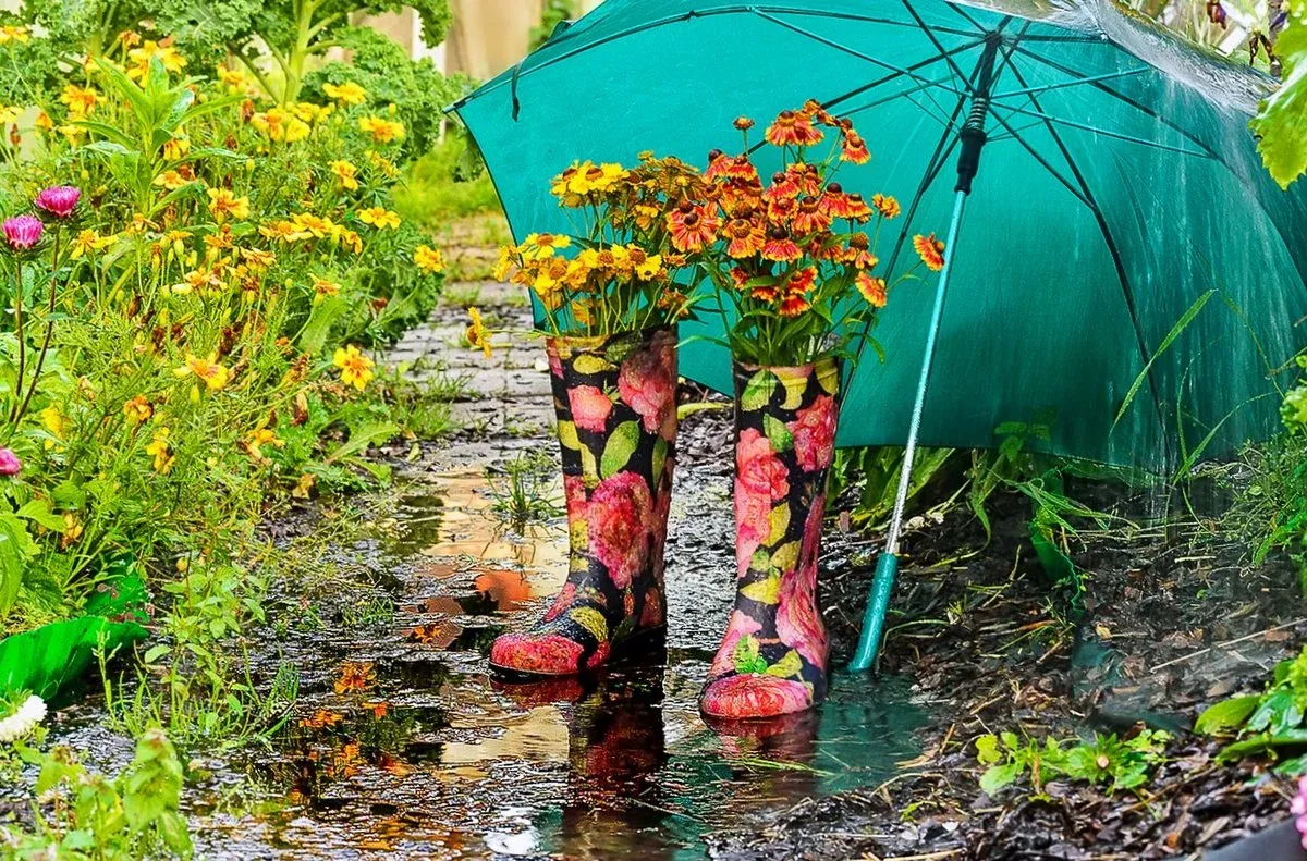 protéger les plantes naturellement еt limiter les dégâts d'une pluie dans le jardin fleurs dans deuxbottes sous parapluie