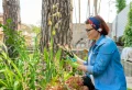 Entretien des iris après floraison : Ce qu’il faut savoir