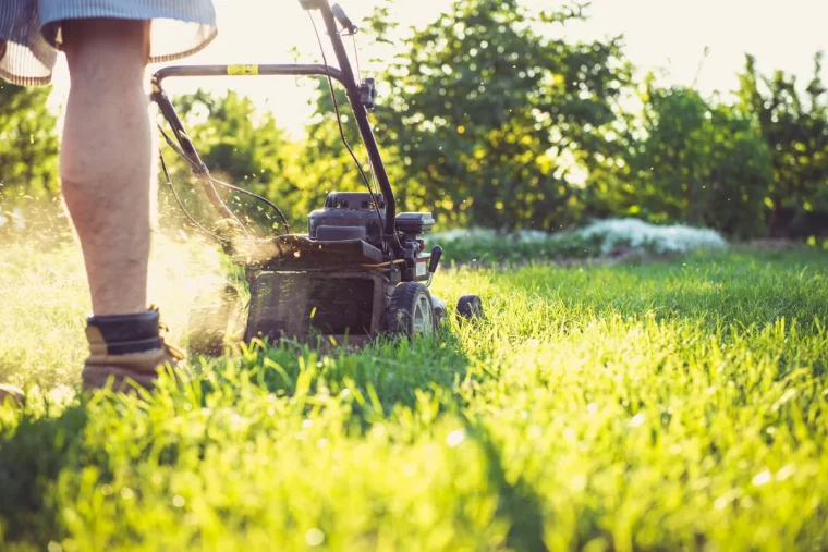 quant et à quelle hauteur tondre le gazon en fonction de la saison