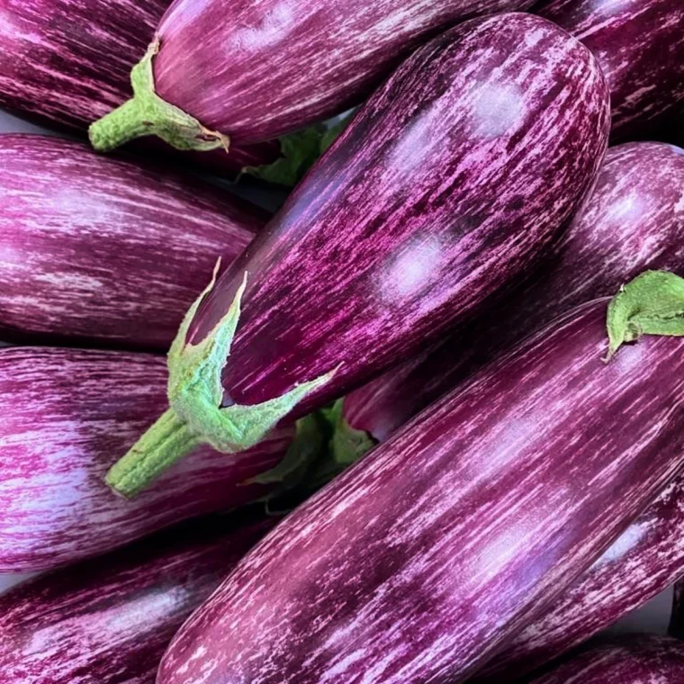 quoi ne pas planter a cote des aubergines