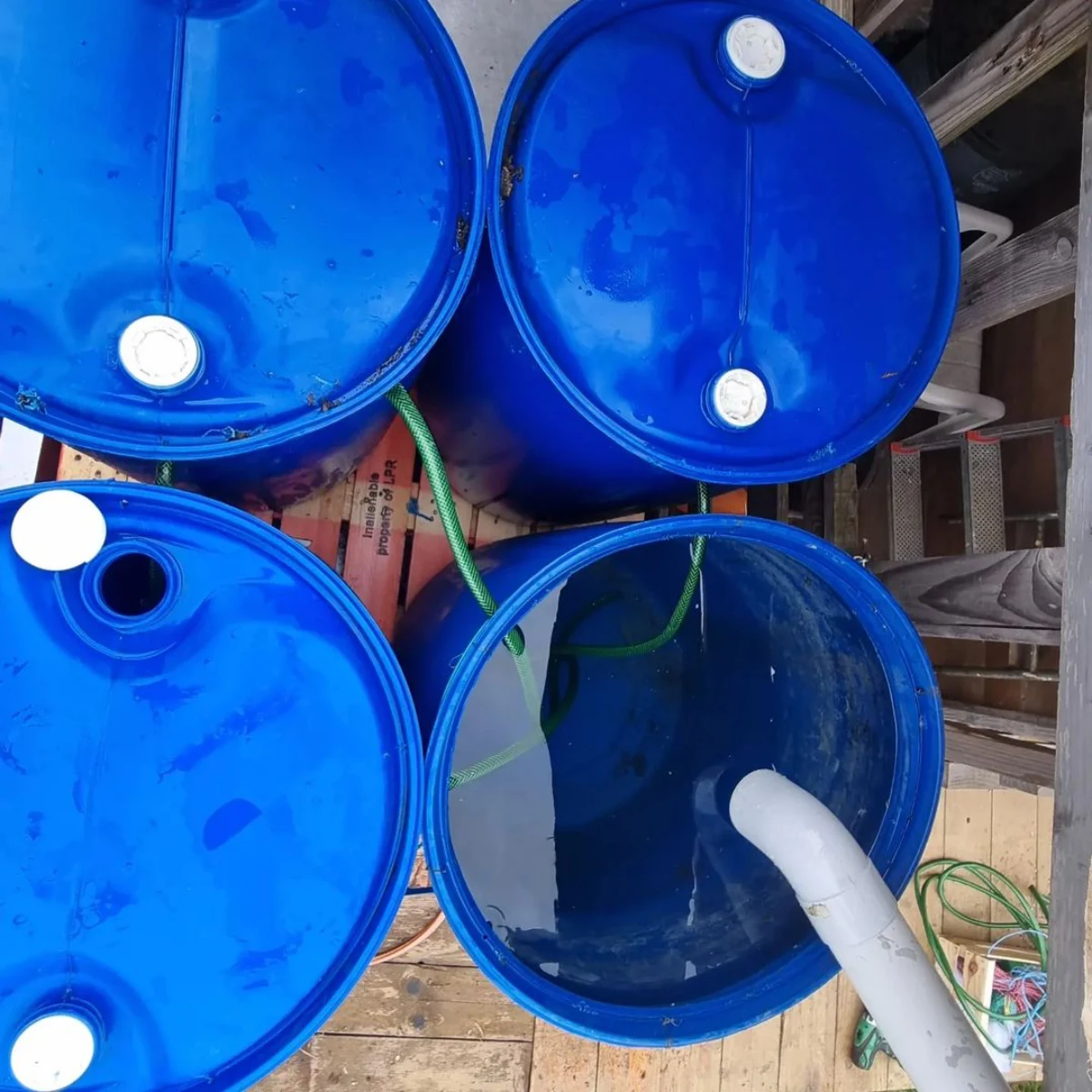 recuperateur eau de pluie blue cuve pompe