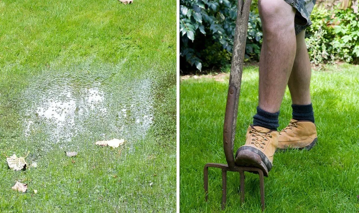 scarifier pelouse fourche jardin homme travails jardinage aeration sol compactage