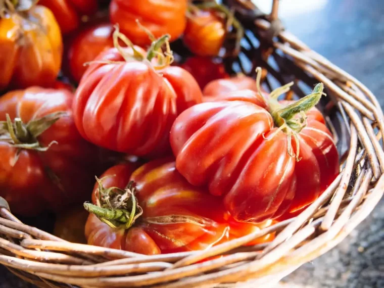 tomates poses dans une basquette en bois