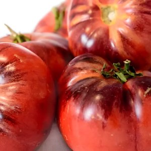 Peut-on manger des tomates avec des taches noires : causes et précautions à prendre