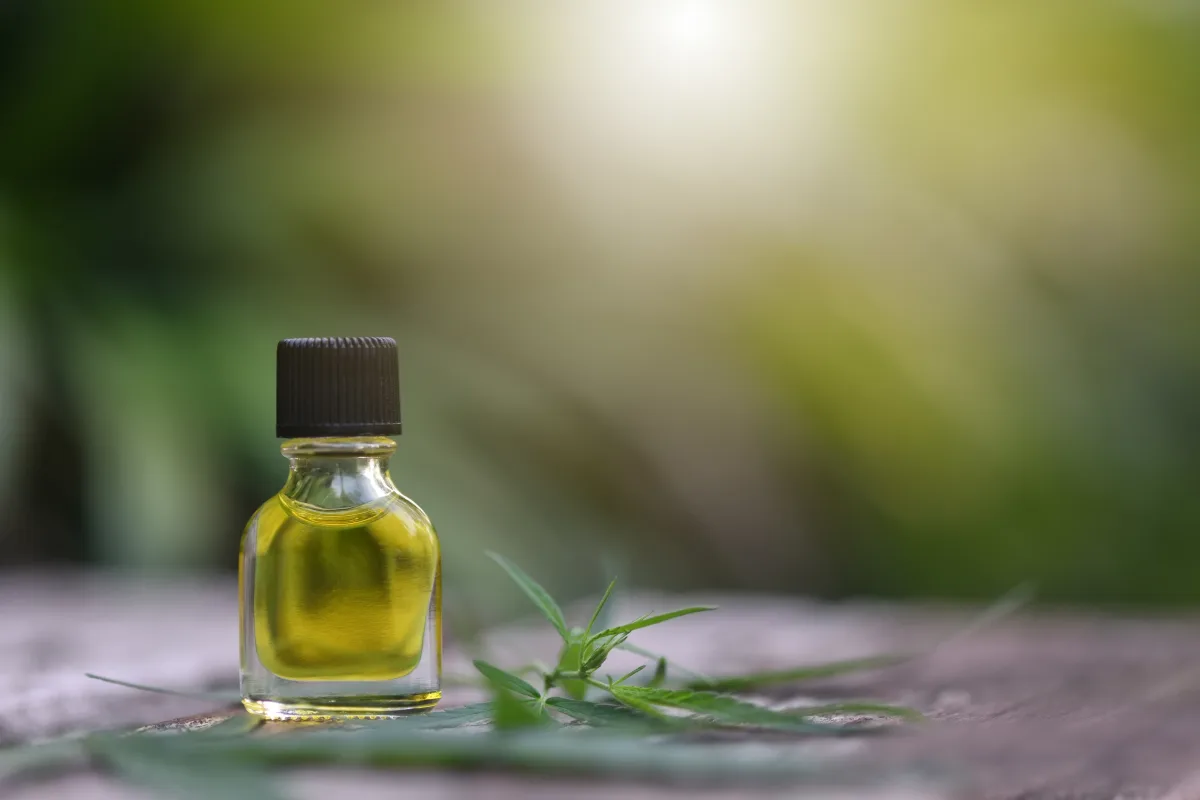 utiliser l huile de neem contre les insectes astuces