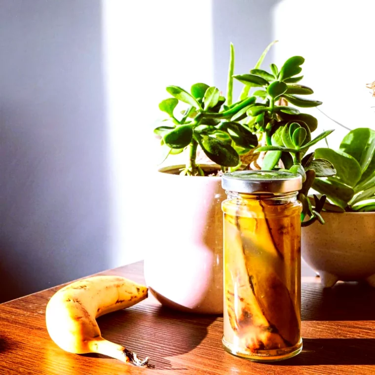 vertus de la peau de banane pour les plantes table en bois