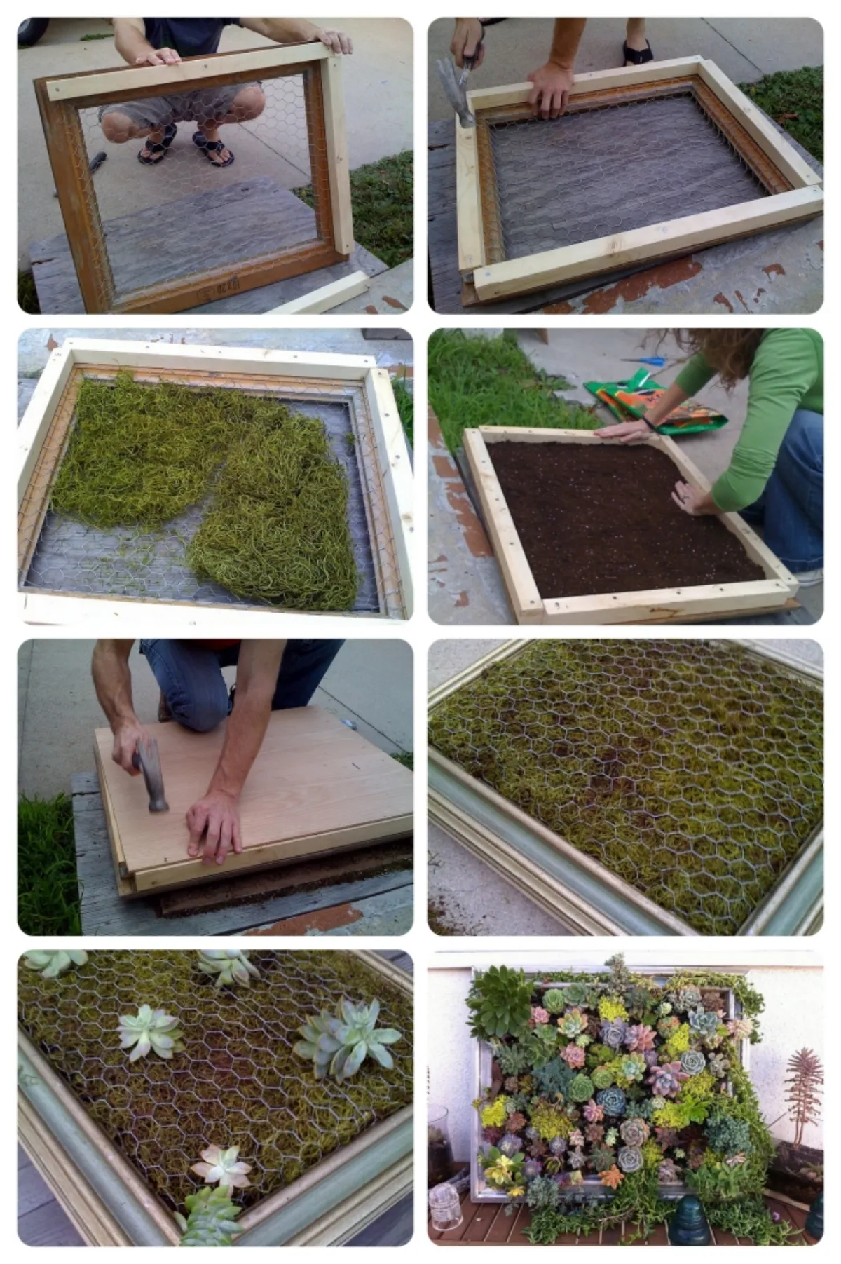 comment faire tenir un mur végétal cadre enbois