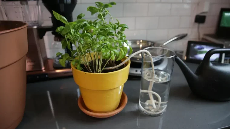 comment faire un effet goutte d eau pour arroser les plantes