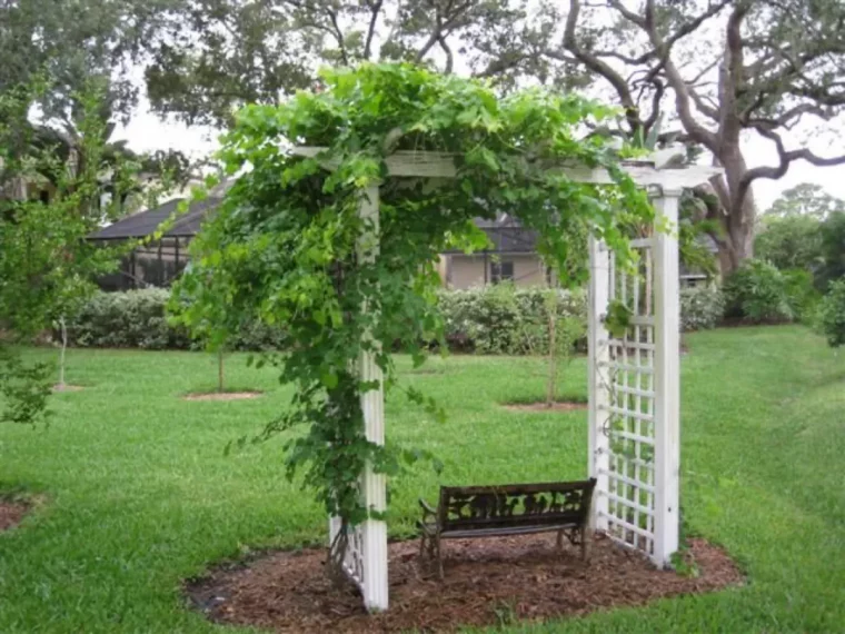 le mieux est de construire un système goutte à goutte