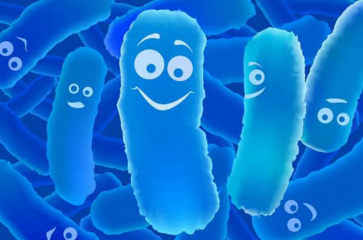 quelles sont les mesures d'hygiène bactéries riantes bleues