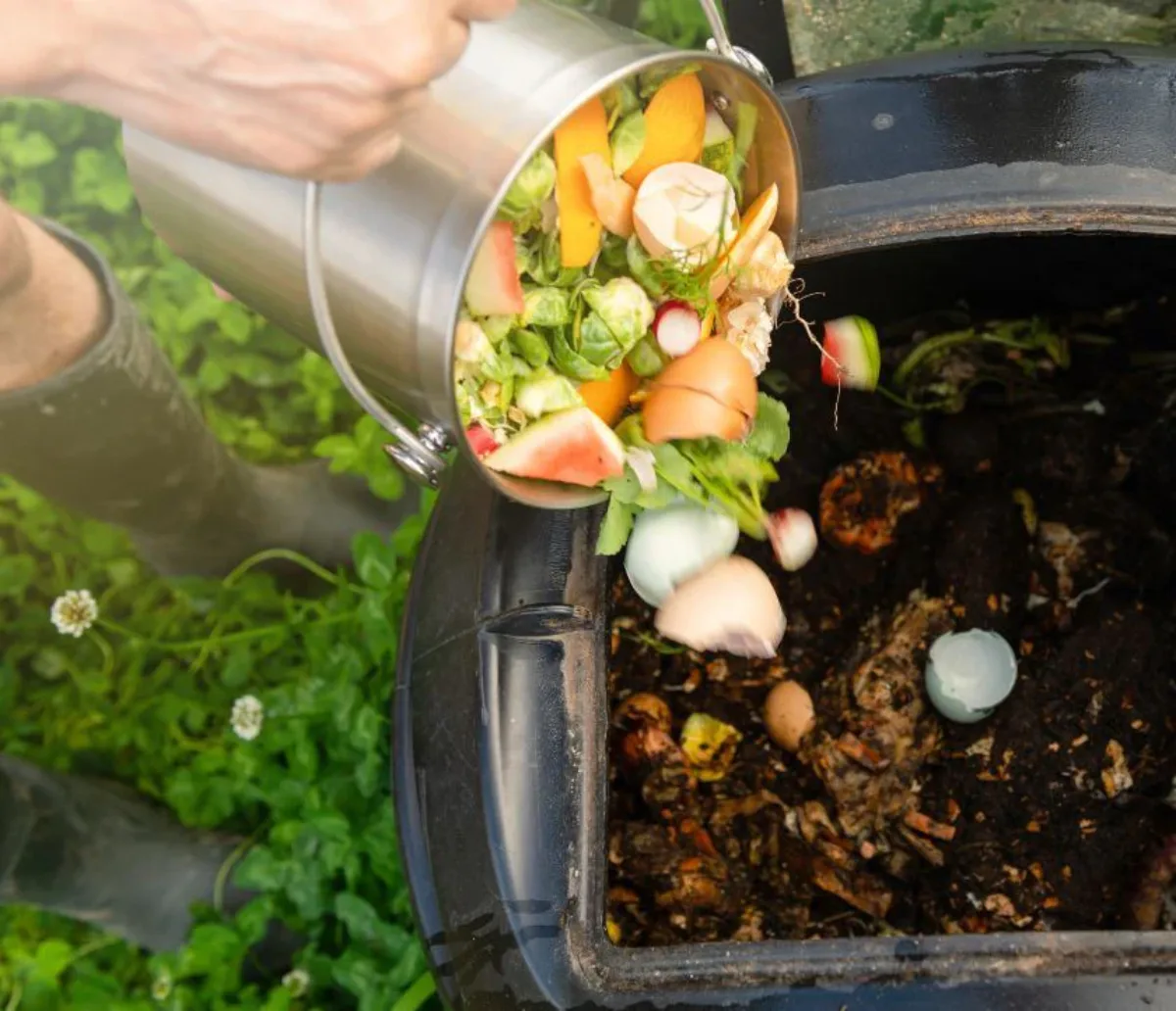 ajouter des déchets alimentaires dans le compost pasteque composteur