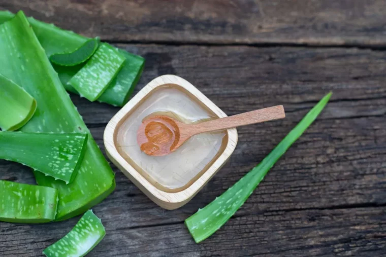 appliquer du gel d aloe vera pour calmer la peau brulee