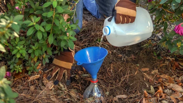 arrosage goutte a goutte bouteille d eay jardin paillage terre