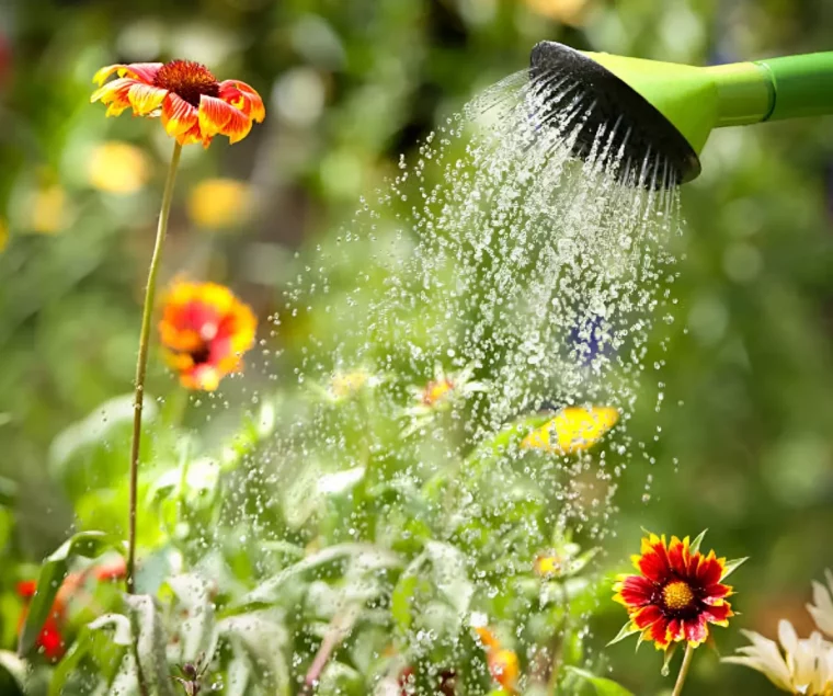 arrosages de fleurs dans les teintes rouges jaunes avec un arrosoir vert