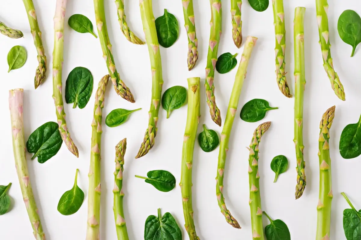 asperges legumes feuilles basilic surface blanche aliments sante nutriments