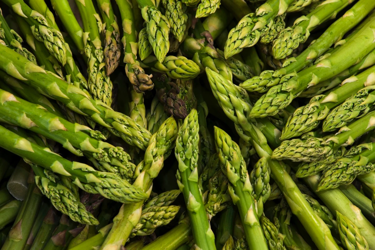asperges vertes legumes sans arrosage