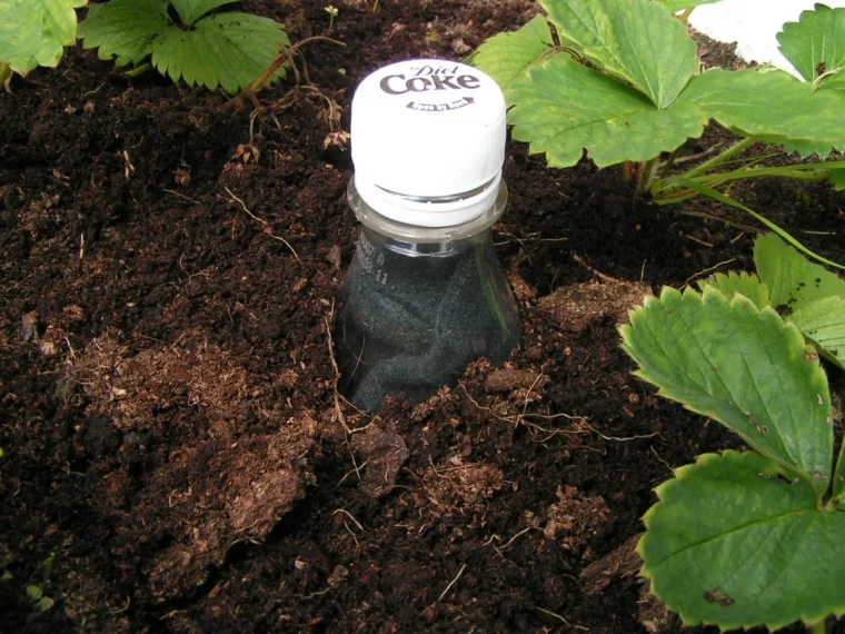 bouteille en plastic dans la terre