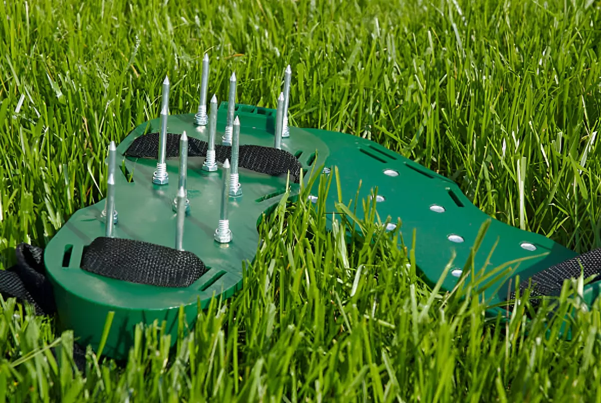 chaussures d aerateur avec des pointes en métal sur fond de pelouse verte qui a bien pousse