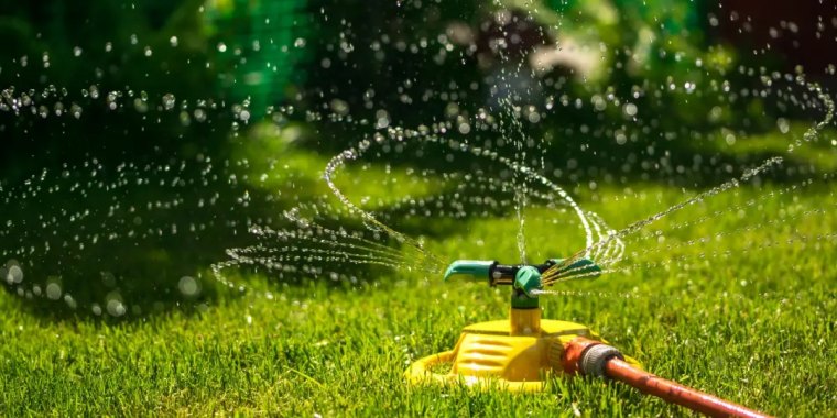 comment bien arroser son jardin quand on part en vacances