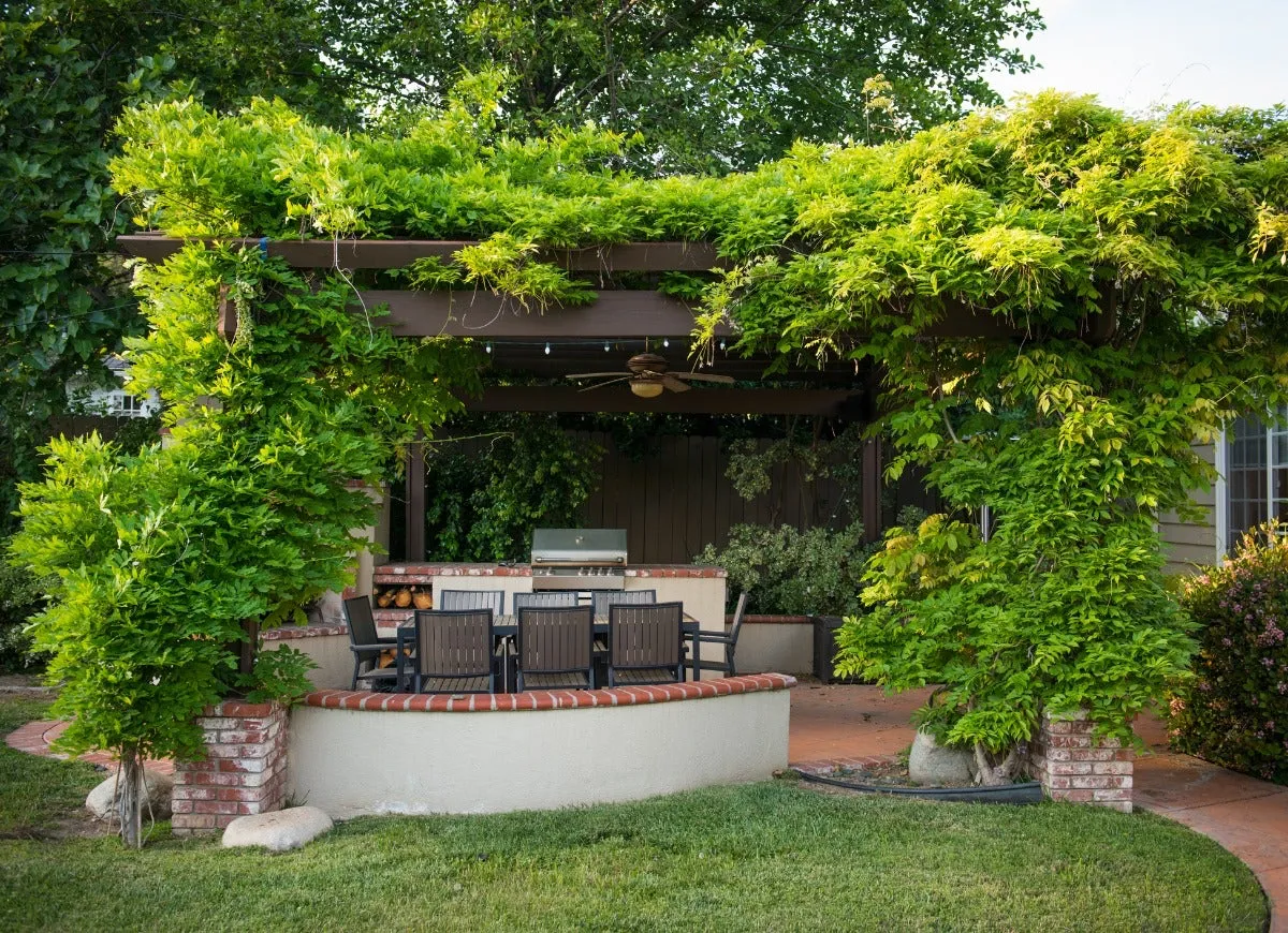veranda meuble salon de jardin barbecue et verdure