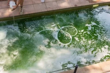 comment enlever les algues au fond dune piscine algicide