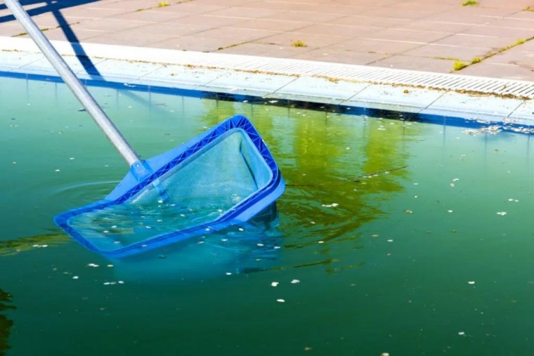 comment enlever les algues au fond dune piscine couv