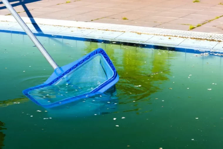 comment enlever les algues au fond dune piscine couv