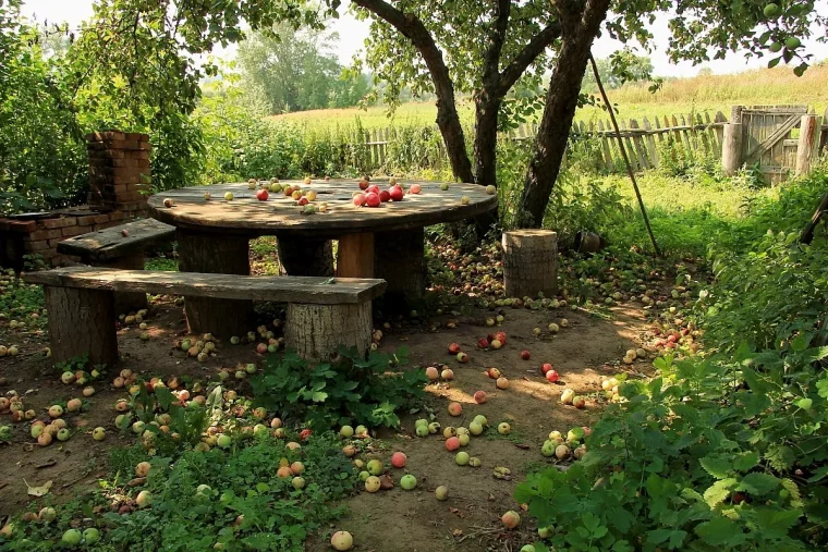 comment faire de l'ombre dans son jardin arbre ombrage pommier bancs ettable