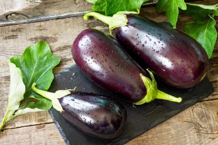 comment faut il conserver les aubergines