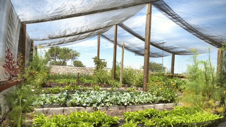 comment proteger les legumes du soleil toile ombrage support structure bois cloture pierre