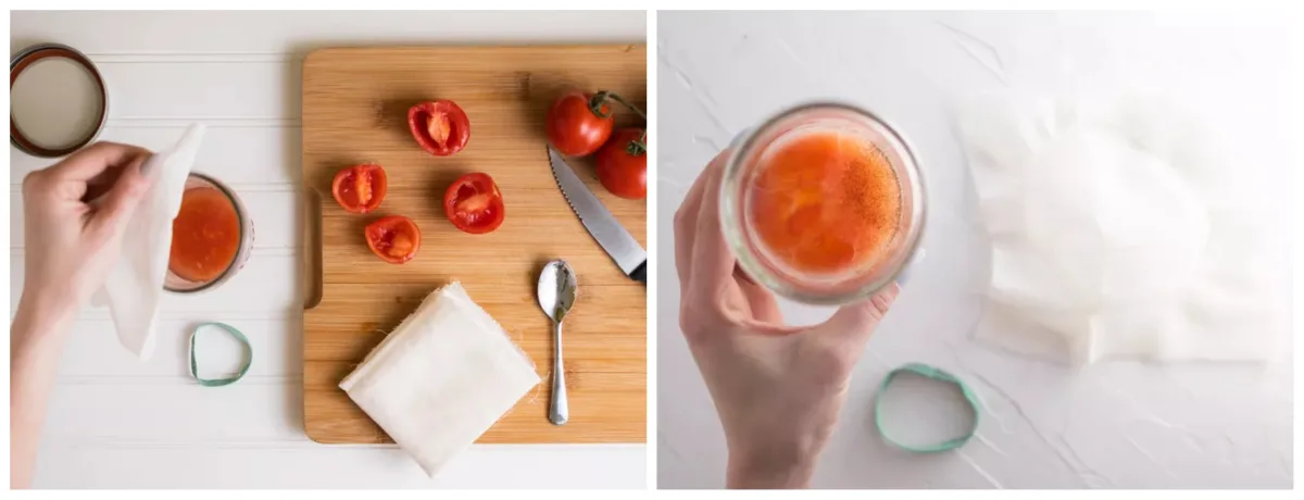 comment récupérer les graines de tomates maison et les faire fermenter