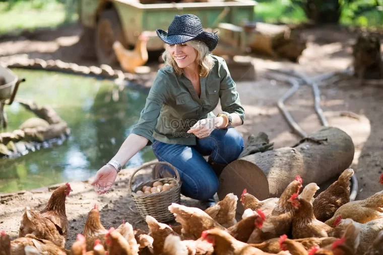 comment soigner les poules naturellement jeune femme nourrit poulesrouges