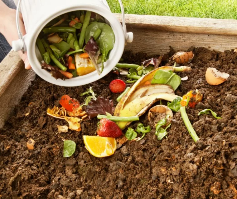 compost commen engraisn naturel pour bougainvillier universel