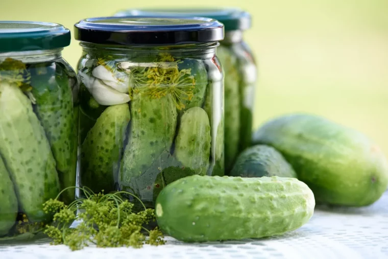 cornichon au vinaigre recette bocaux legumes pour l hiver