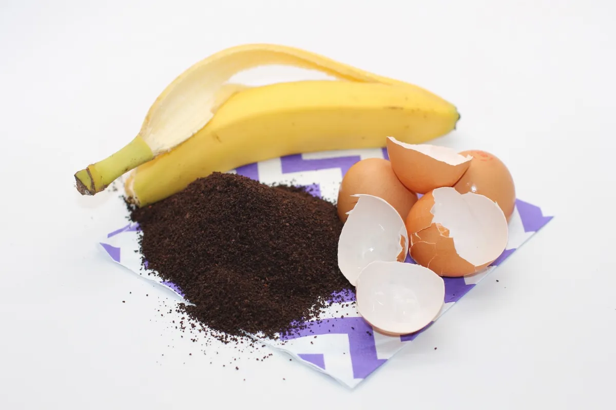 diy fertilisant residus alimentaires cuisine serviette marc cafe pelures banane oeufs coquilles