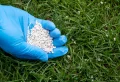 Gazon et canicule : les secrets pour une pelouse parfaite en été