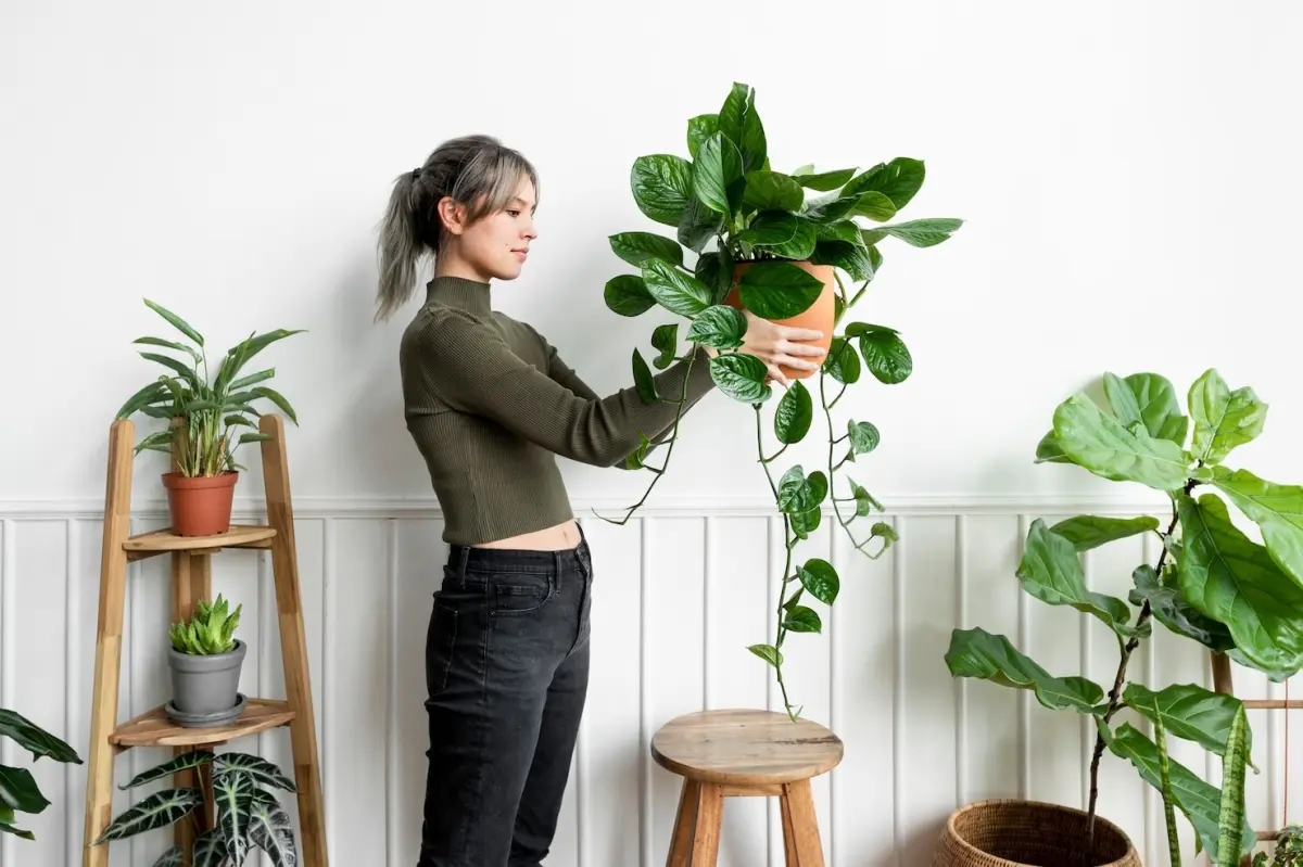 femme fleurs meubles bois mur blanc cache pot tresse plante retombante feuilles tiges