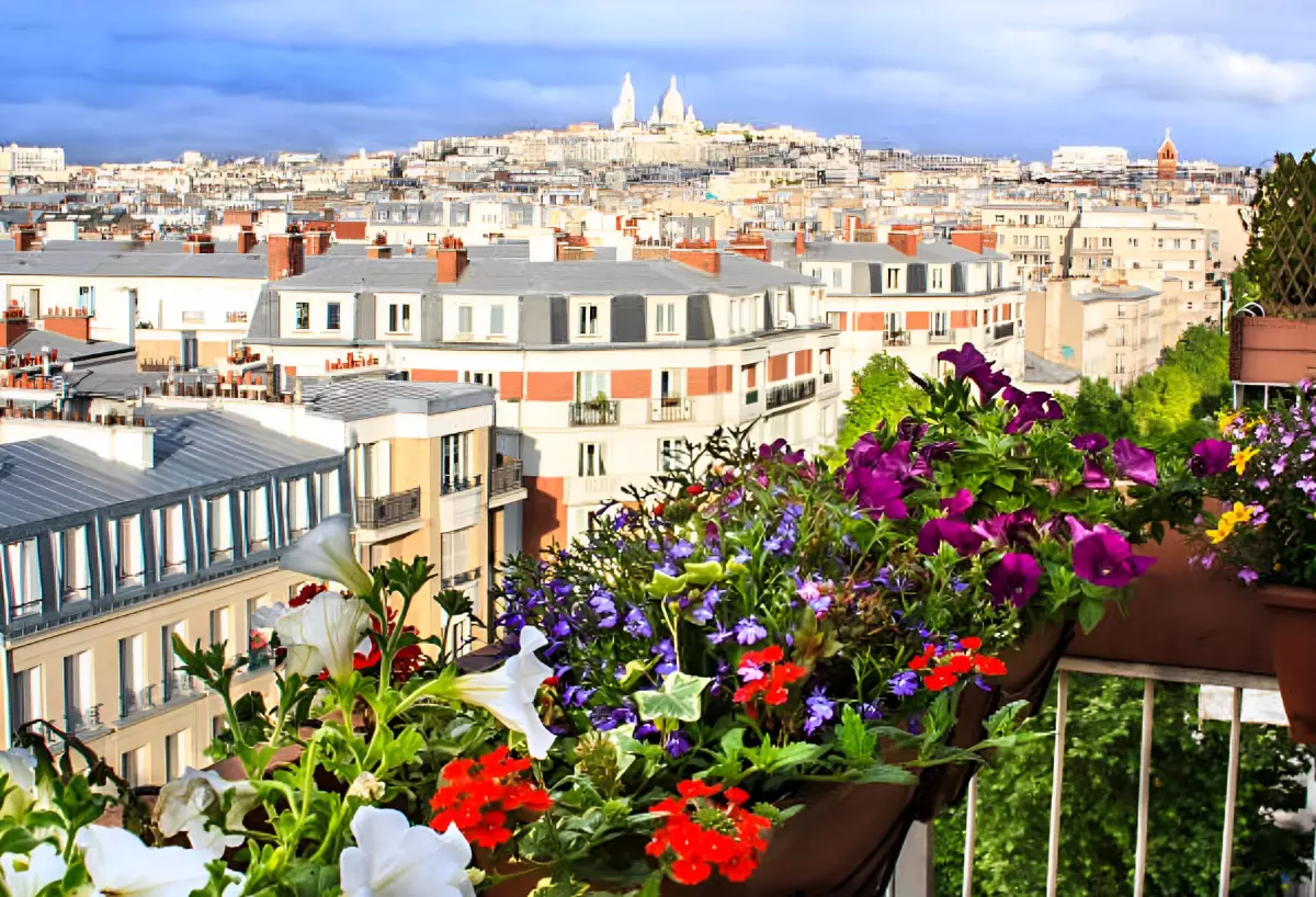 fleurs sur un balcon avec la vue sur paris